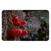 雪 マグネット (横)