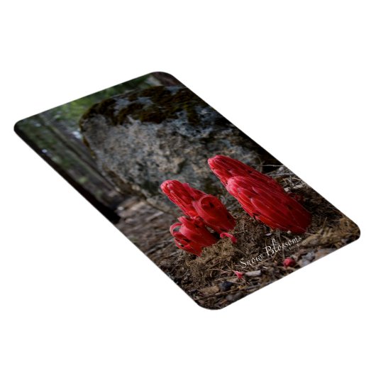 雪 マグネット (右側)