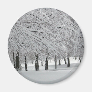 雪 マグネット