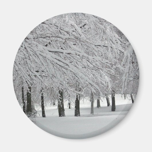 雪 マグネット (正面)