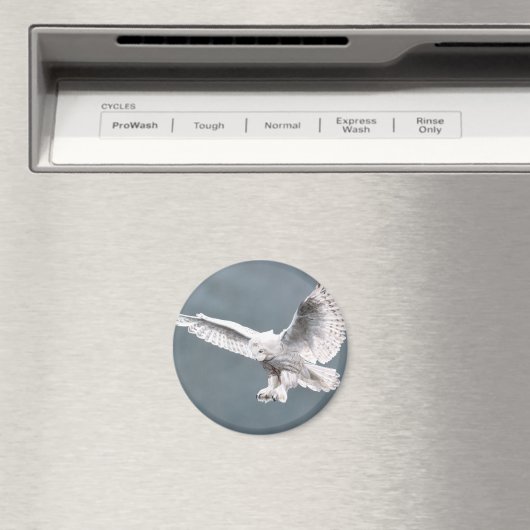 雪 マグネット (インサイチュ (食洗機))