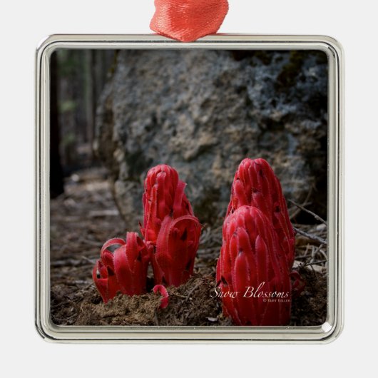 雪 メタルオーナメント (正面)