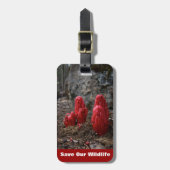 雪 ラゲッジタグ (正面縦)