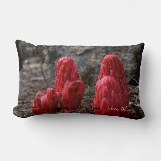 雪 ランバークッション (正面)