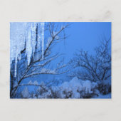 雪 - 冬 ポストカード (正面)