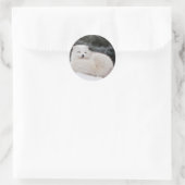 雪 冬 天気 凍結 雪 氷 ホッキョクギツネ ラウンドシール (バッグ)