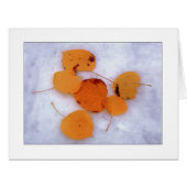 "雪《植物》アスペン" (正面横)