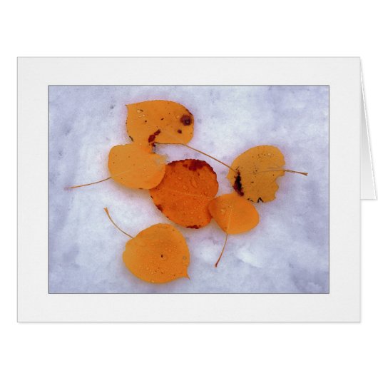 "雪《植物》アスペン" (正面横)