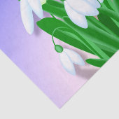 雪 薄葉紙 (詳細)