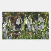 雪 長方形シール (正面)