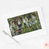 雪 長方形シール (封筒)