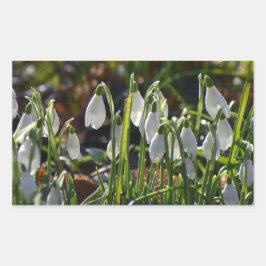 雪 長方形シール