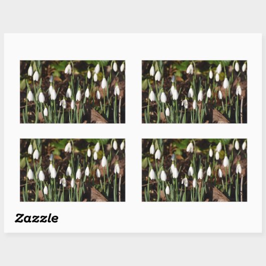 雪 長方形シール (シート)