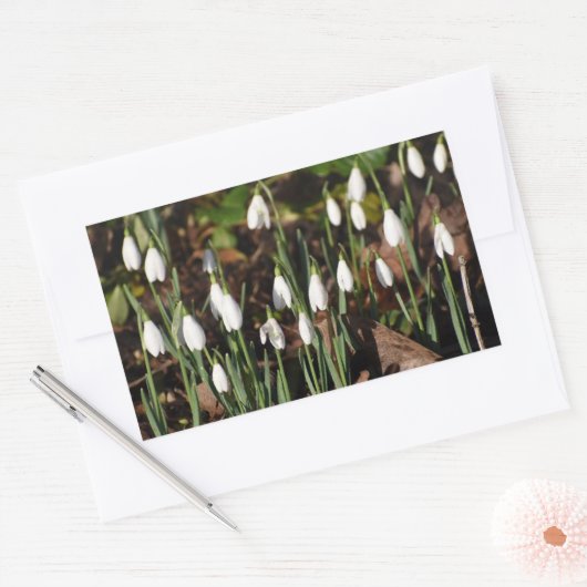 雪 長方形シール (封筒)