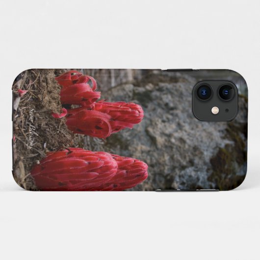 雪 Case-Mate iPhoneケース (裏面(横))