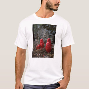 雪 Tシャツ