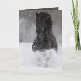 雪II馬走あいさつカードに暗い馬 カード