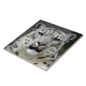 雪leopard10x10 タイル (側面)