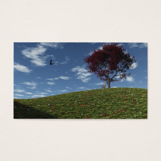 雲がブックマークで帆走 (正面)