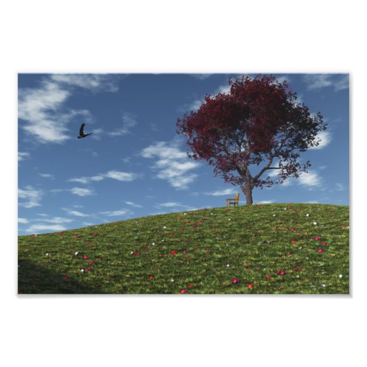 雲が写真でセーリングにプリント フォトプリント            (正面)