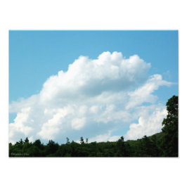 雲が木に集まる フォトプリント           