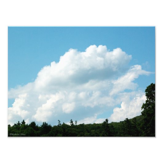 雲が木に集まる フォトプリント            (正面)