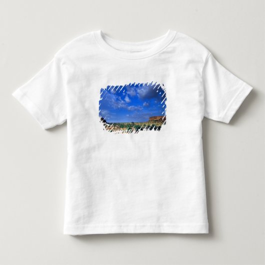 雲が空を越えて広がっている トドラーTシャツ (正面)