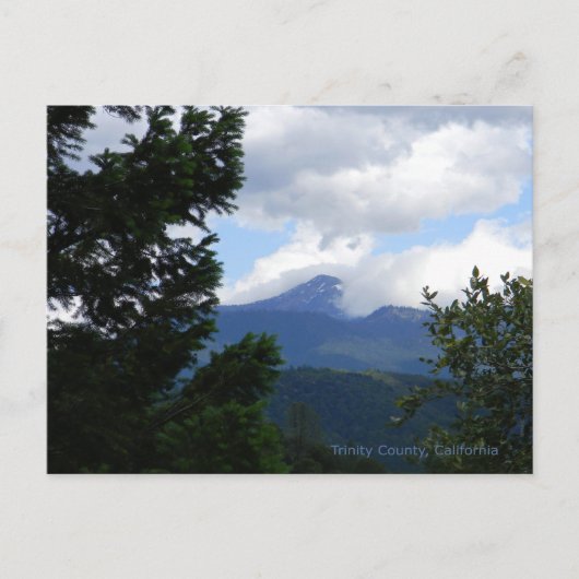 雲で雄牛を選ぶ… ポストカード (正面)