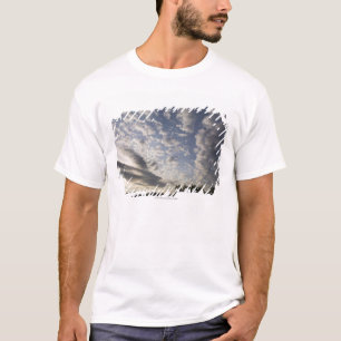 雲との地平線の空の眺め Tシャツ