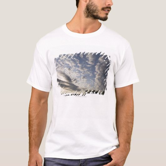 雲との地平線の空の眺め Tシャツ (正面)
