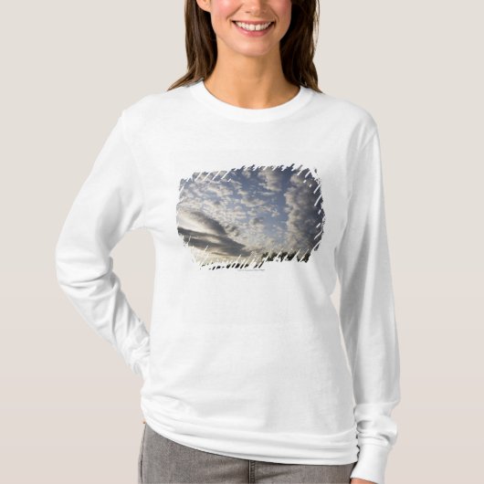 雲との地平線の空の眺め Tシャツ (正面)