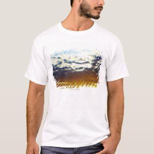 雲との黄色く青く不機嫌な日没 Tシャツ