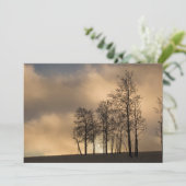 雲と木の日の出 サンキューカード (スタンド正面)