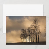 雲と木の日の出 サンキューカード (正面/裏面)