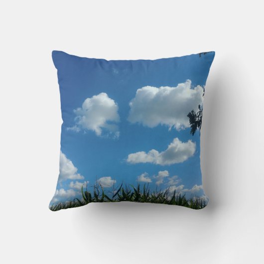 雲と青空 クッション (裏面)