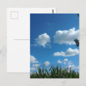雲と青空 ポストカード (正面/裏面)