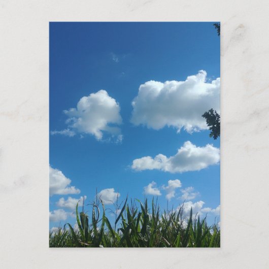 雲と青空 ポストカード (正面)