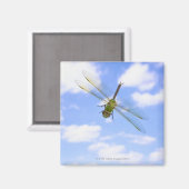 雲に対するグリーン飛んでいるダーナー マグネット (正面/裏面)