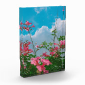 雲のある青空の下のピンクの花 – 自然 フォトブロック (左)