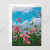 雲のある青空の下のピンクの花 – 自然 ポストカード (正面/裏面)