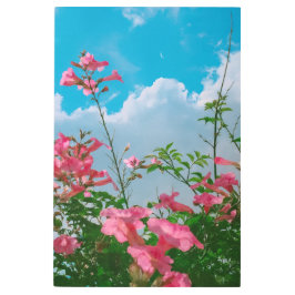雲のある青空の下のピンクの花 – 自然 メタルプリント