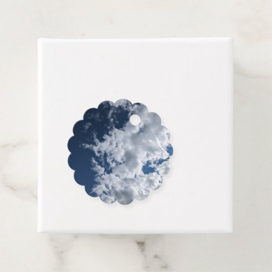 雲の一面 フェイバータグ (インサイチュ)