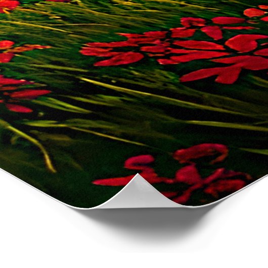 雲の上に聖なる書物、 経典、キリスト教の太陽の光を追加 ポスター (角)