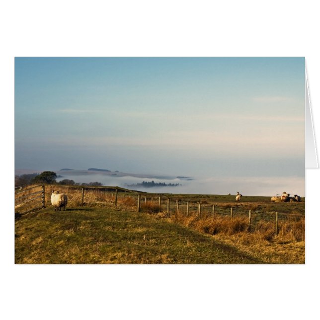 雲の上 (正面横)