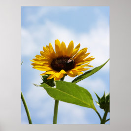 雲の中で ポスター