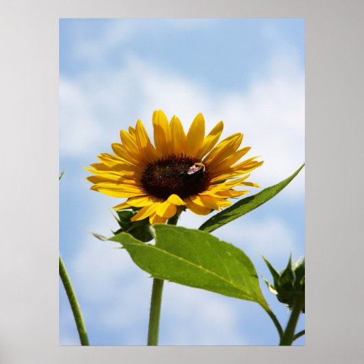 雲の中で ポスター (正面)