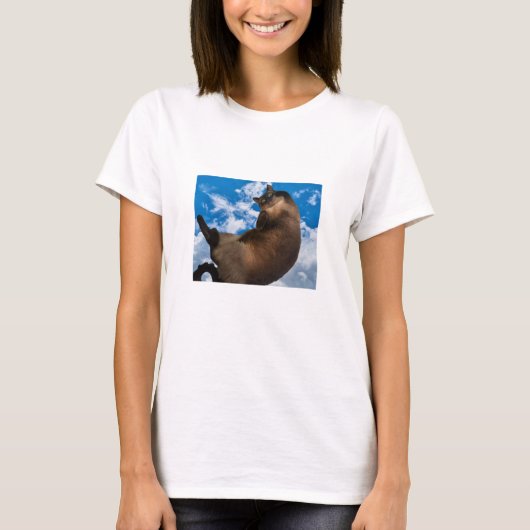 雲の中のサー・パーシー・ポー Tシャツ Tシャツ (正面)