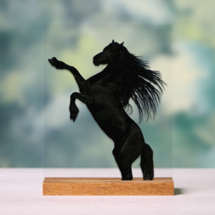 雲の中の馬 アクリルサイン