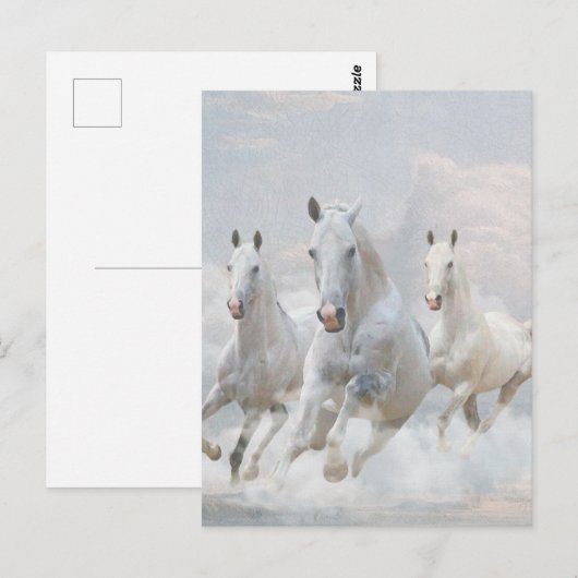 雲の中の馬 ポストカード (正面/裏面)