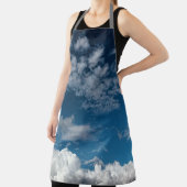 雲の層 エプロン (インサイチュ)